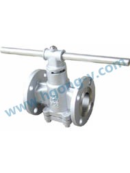 API handle operation plug valve